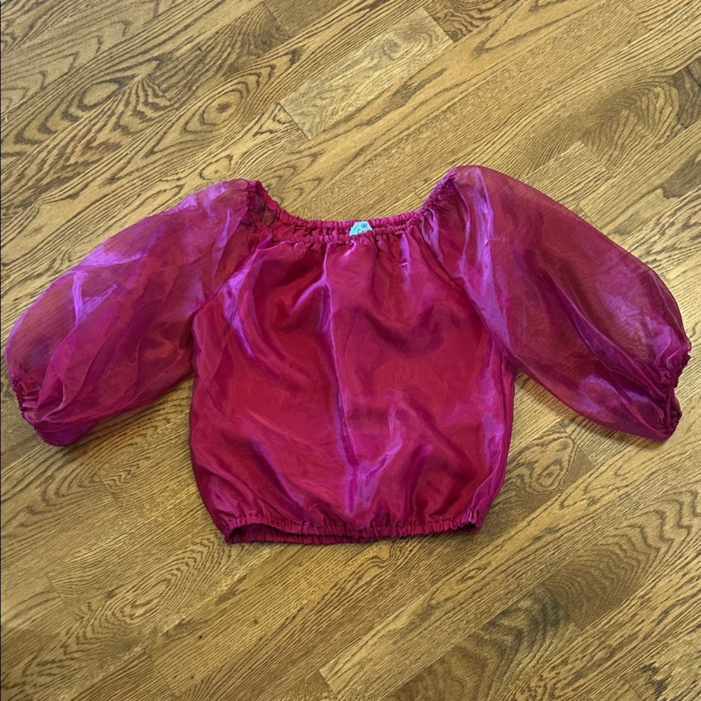 Ladies Sheer Pink Puff Sleeve Top